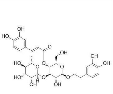acteoside cure chronic fatigue syndrome symptoms