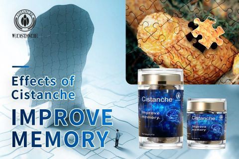 Cistanche-improve memory11