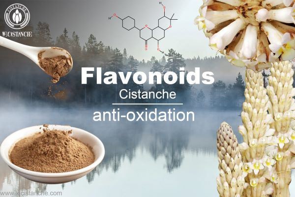 flavonoid---anti-oxidation