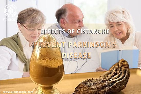 Traditional Chinese Medicine Cistanche can treat Parkinson's Disease