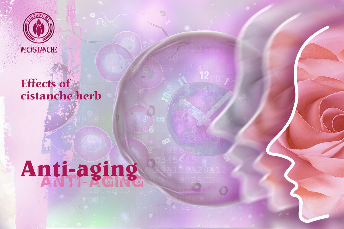 Anti-aging(,) Anti-aging(,)