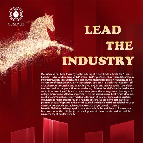 lead the industry lead the industry