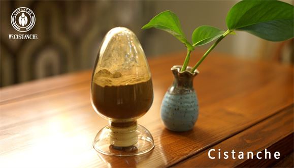Cistanche tubulosa extract Cistanche tubulosa extract
