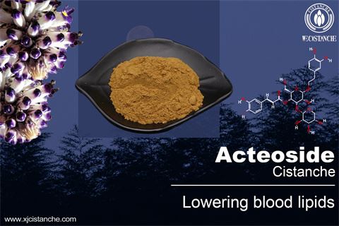Active Components and Antioxidant Activity of Fresh-cut Cistanchedeserticola