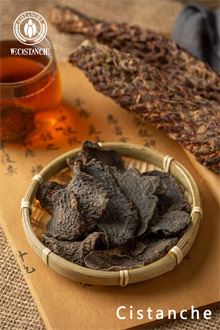 Effects of cistanche: benefit kidney Effects of cistanche: benefit kidney