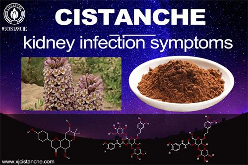 cistanche-kidney infection symptoms-1(34) cistanche-kidney infection symptoms-1(34)