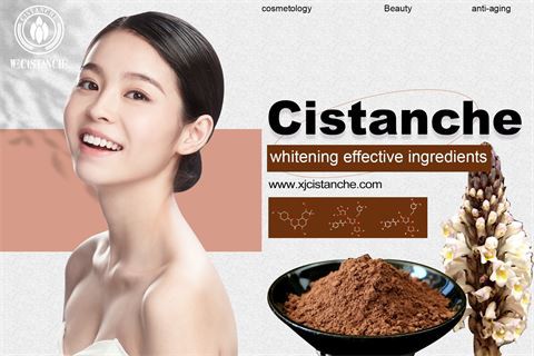 cistanche extract benefits improve skin whitening (28)