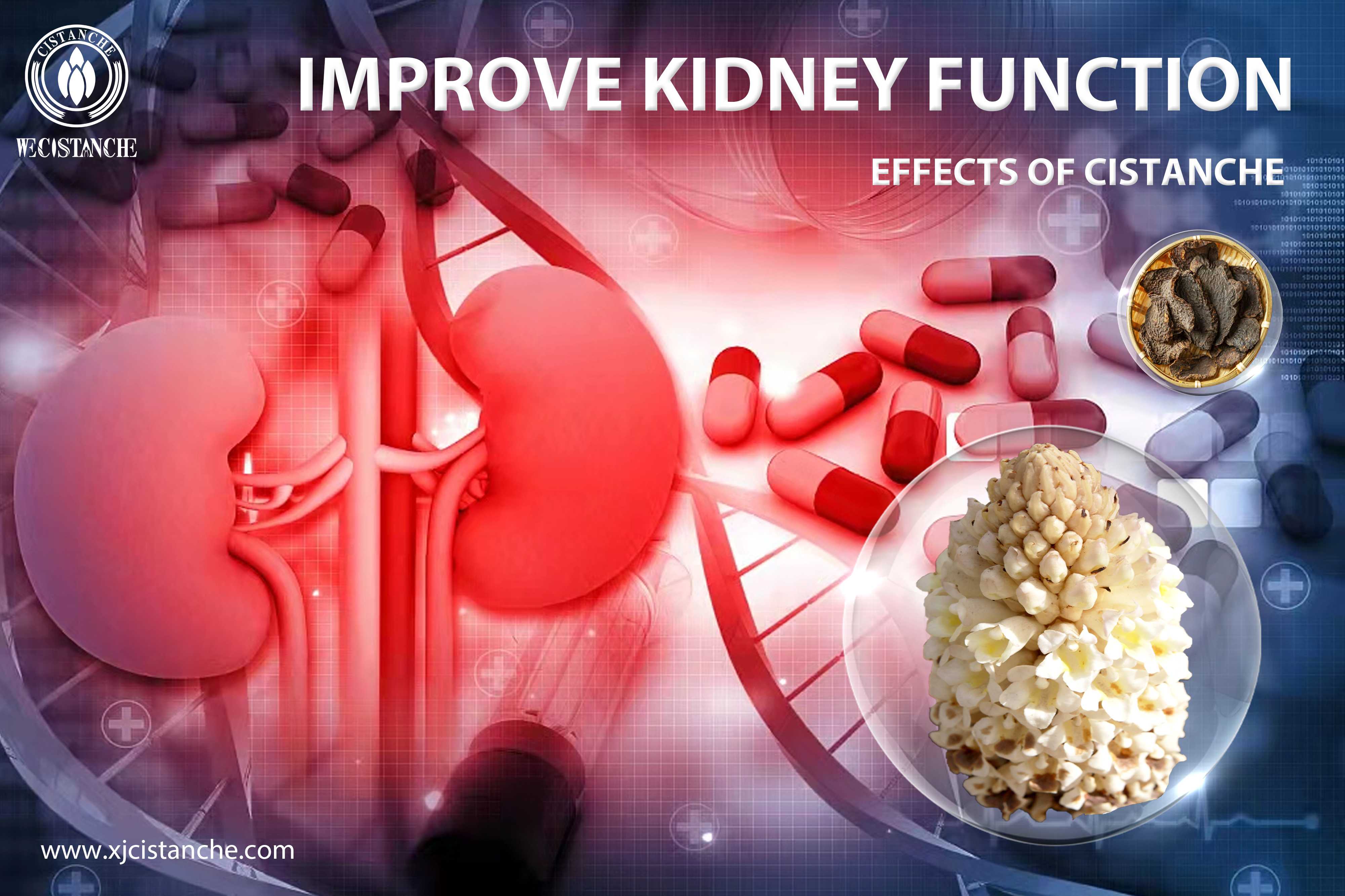 how to prevent kidney disease
