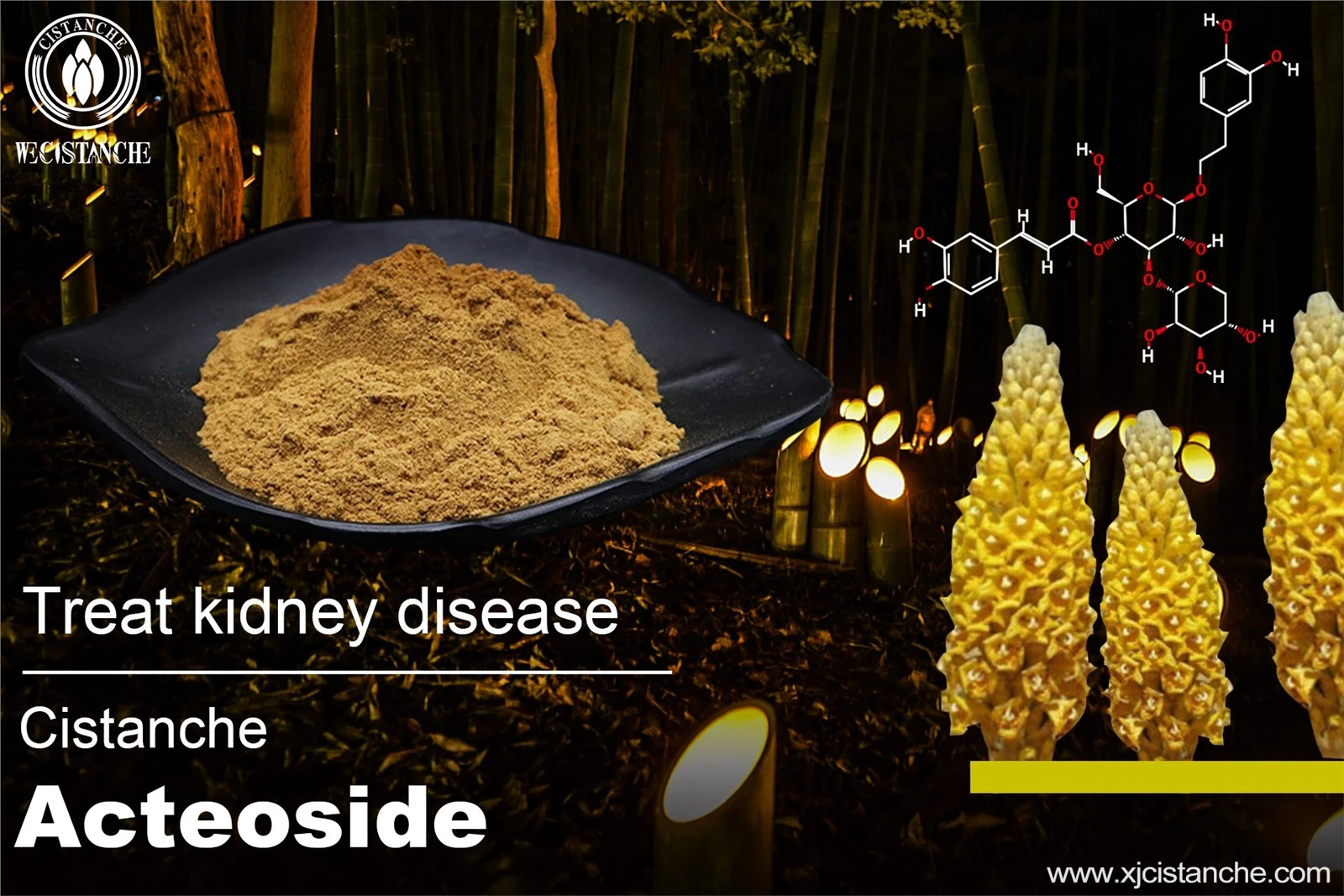 prevent kidney disease