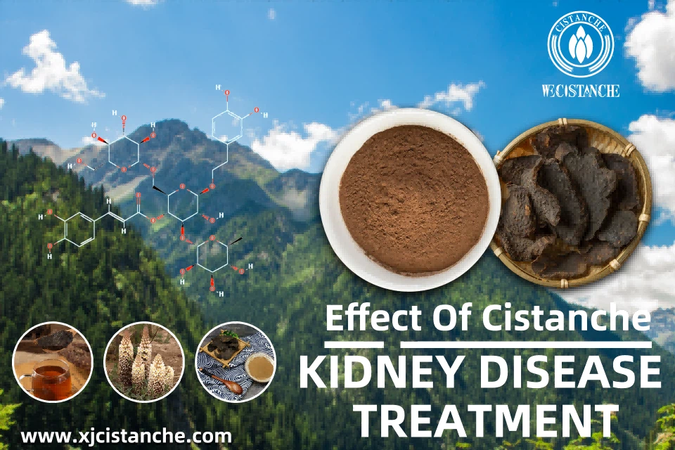 kidney disease treatment