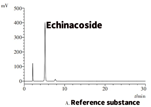 Figure1 HPLC chromatograms of echinacoside（A）