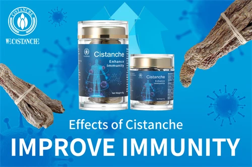 cistanche capsules