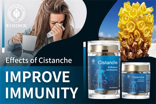 cistanche penis growth