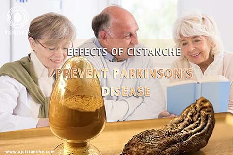 Cistanche Benefits for Anti-Parkinson's Disease