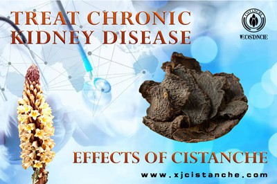 Cistanche benefits