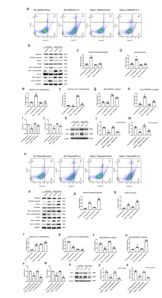 Figure 3 Figure 3