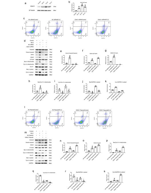Figure 6 Figure 6