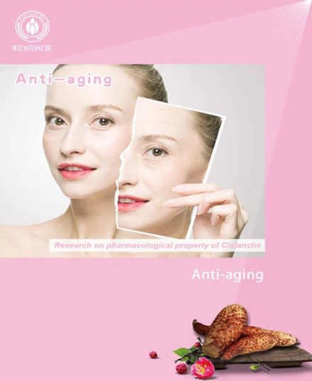 how to use cistanche how to use cistanche