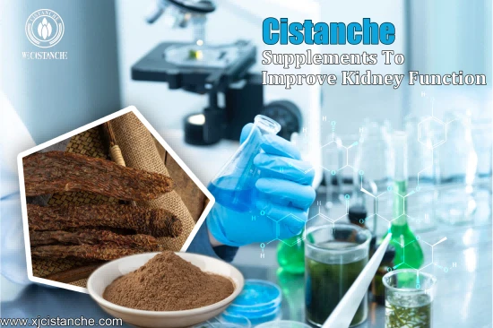 CISTANCHE EXTRACT WITH 25% ECHINACOSIDE AND 9% ACTEOSIDE FOR KIDNEY CISTANCHE EXTRACT WITH 25% ECHINACOSIDE AND 9% ACTEOSIDE FOR KIDNEY