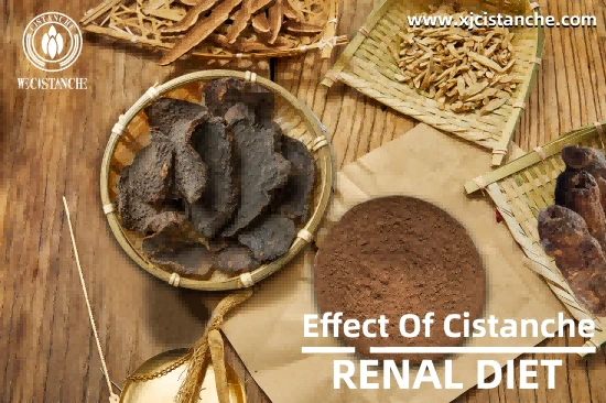 CISTANCHE EXTRACT WITH 25% ECHINACOSIDE AND 9% ACTEOSIDE FOR KIDNEY CISTANCHE EXTRACT WITH 25% ECHINACOSIDE AND 9% ACTEOSIDE FOR KIDNEY