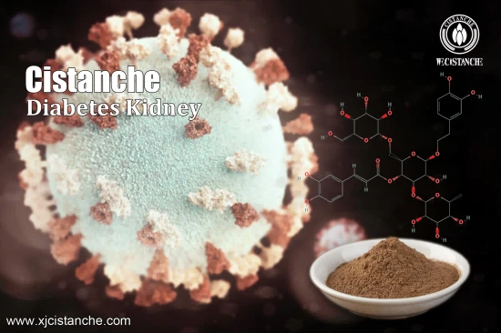 HERBAL CISTANCHE FOR KIDNEY FIBROSIS 