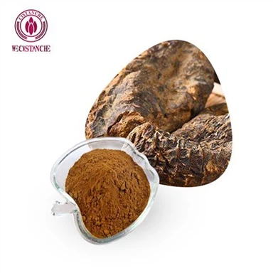 Cistanche Deserticola ekstrakt