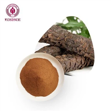 Cistanche for testosteron