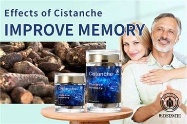 Forbedre hukommelsen og forhindre Alzheimers sygdom stole på det! Ørken ginseng Cistanche