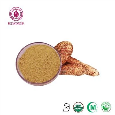 Wecistanche Quercetin pulver flavonoider
