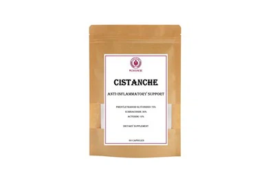 Cistanche kosttilskud Anti-inflammatorisk støtte Phenylethanoid Glycosider 75 procent Echinacoside 30 procent Acteosid 12 procent