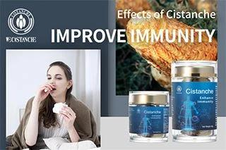 effect of cistanche effect of cistanche